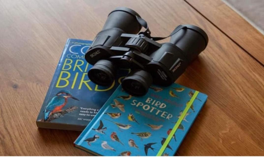 The Gull & Puffin Cresswell Villa Cresswell  Ngoại thất bức ảnh